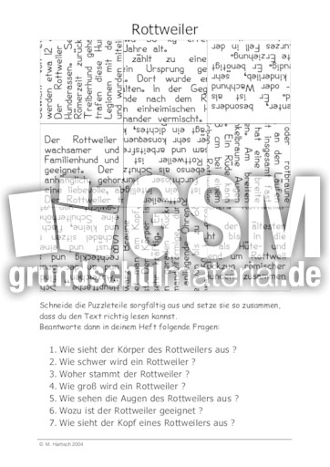 Rottweiler.pdf